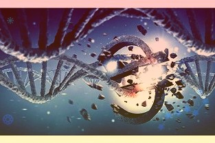 大灣區(qū)首個(gè)光儲(chǔ)充檢放一體化智能超充站正式投運(yùn)